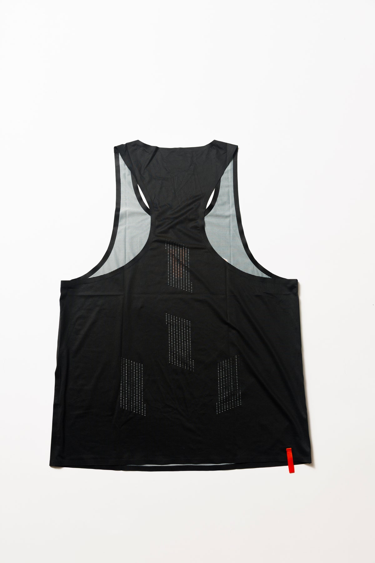ARCH SINGLET